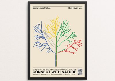 Posters Connect With NY Nature